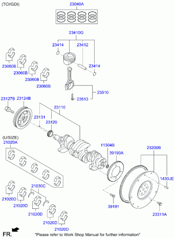 Ceed 28.11.2023 2024