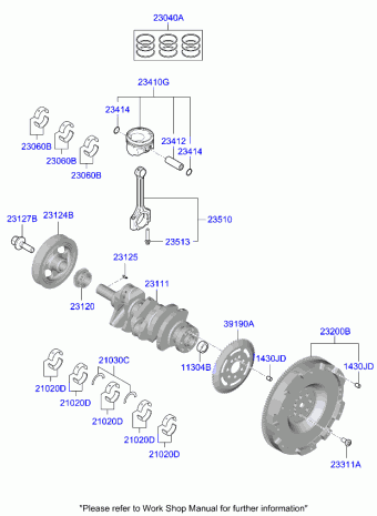 Ceed 12.06.2023 2024