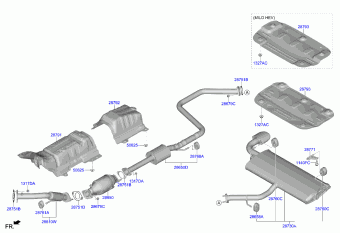 Ceed 12.06.2023 2024