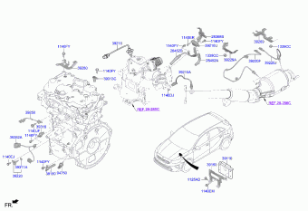 Ceed 12.06.2023 2024