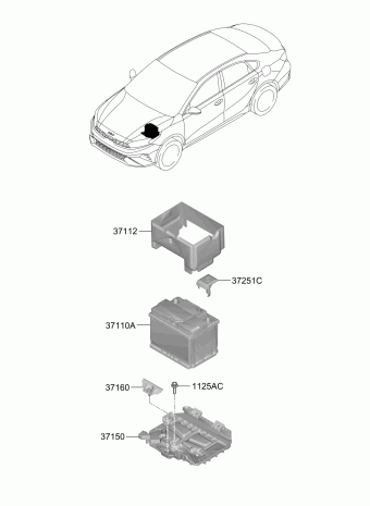 Cerato 13.05.2021 2022