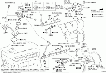 LEXUS IS2###/3### AVE30L-AEXLHW ASE30,AVE30,GSE30