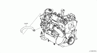 JUKE 06.2018 Z