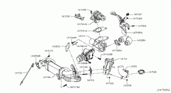 JUKE 06.2015 Z