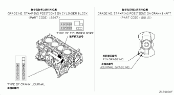 BLUEBIRD SYLPHY 05.2008 C - BEIGE