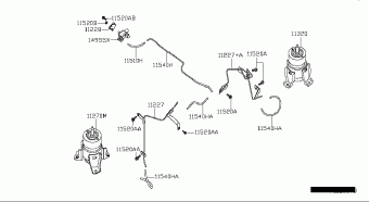 MAXIMA 06.2012 C - CAFE LATTE
