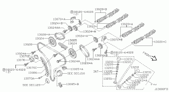 MAXIMA 01.2003 P - BEIGE
