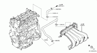 TEANA 12.2014 C - BEIGE