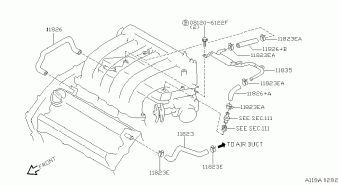 MAXIMA 10.1995 P - PEARL (MATERIAL)