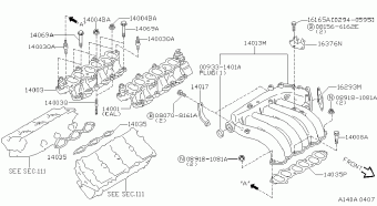 MAXIMA 10.1995 P - PEARL (MATERIAL)