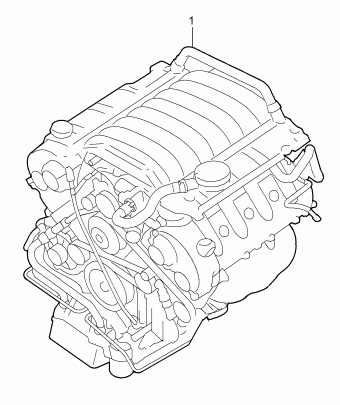 Cayenne 18.10.2007 2008