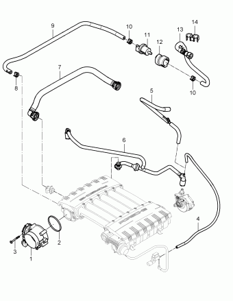 Cayenne 06.06.2007 2008