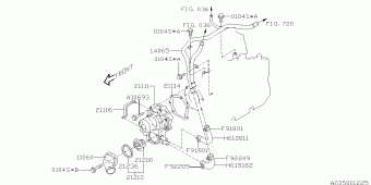 IMPREZA USA 21.11.2011