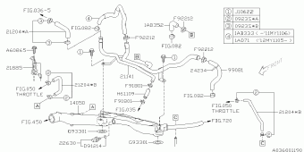 IMPREZA USA 21.11.2011