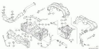 IMPREZA Europe/General 23.01.2017