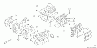 IMPREZA USA 25.08.2015