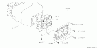 FORESTER USA 17.01.2000