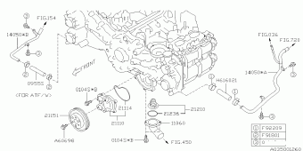 FORESTER Europe/General 18.07.2012
