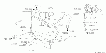 FORESTER USA 10.12.2008