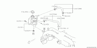 FORESTER USA 10.12.2008