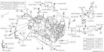 FORESTER Europe/General 31.01.2011