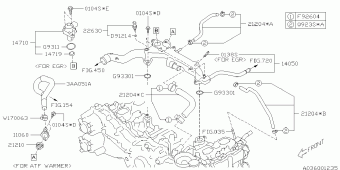 FORESTER Europe/General 18.07.2012