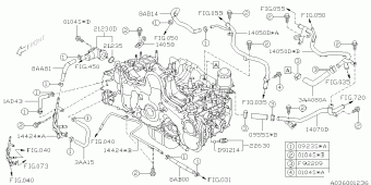 FORESTER Europe/General 17.04.2012