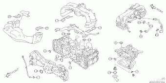 FORESTER Europe/General 06.08.2013