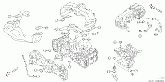 FORESTER Europe/General 06.11.2014