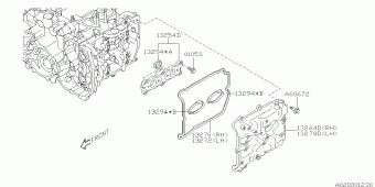 FORESTER Europe/General 13.05.2015