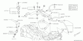 FORESTER Europe/General 06.08.2013