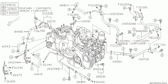 FORESTER Europe/General 14.02.2013