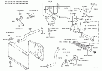 CAMRY ( SED/WG) MCV10L-CEPGKR SXV10,MCV10