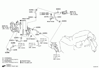 HILUX (DCB/SCB/XTR) GUN125R-DNFSXW GUN12#,135